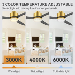 52-Inch Ceiling Fan with Light, Modern Gold/Black Finish, 3 ABS Blades, 18W 3-Color LED with Double-Layer Acrylic Shade, Quiet DC Motor, 6-Speed Reversible, Remote Control with 1/4H Timer, 6-In Downrod, Indoor Use