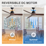 Meron 56-Inch 3-Blade Ceiling Fan With No Light