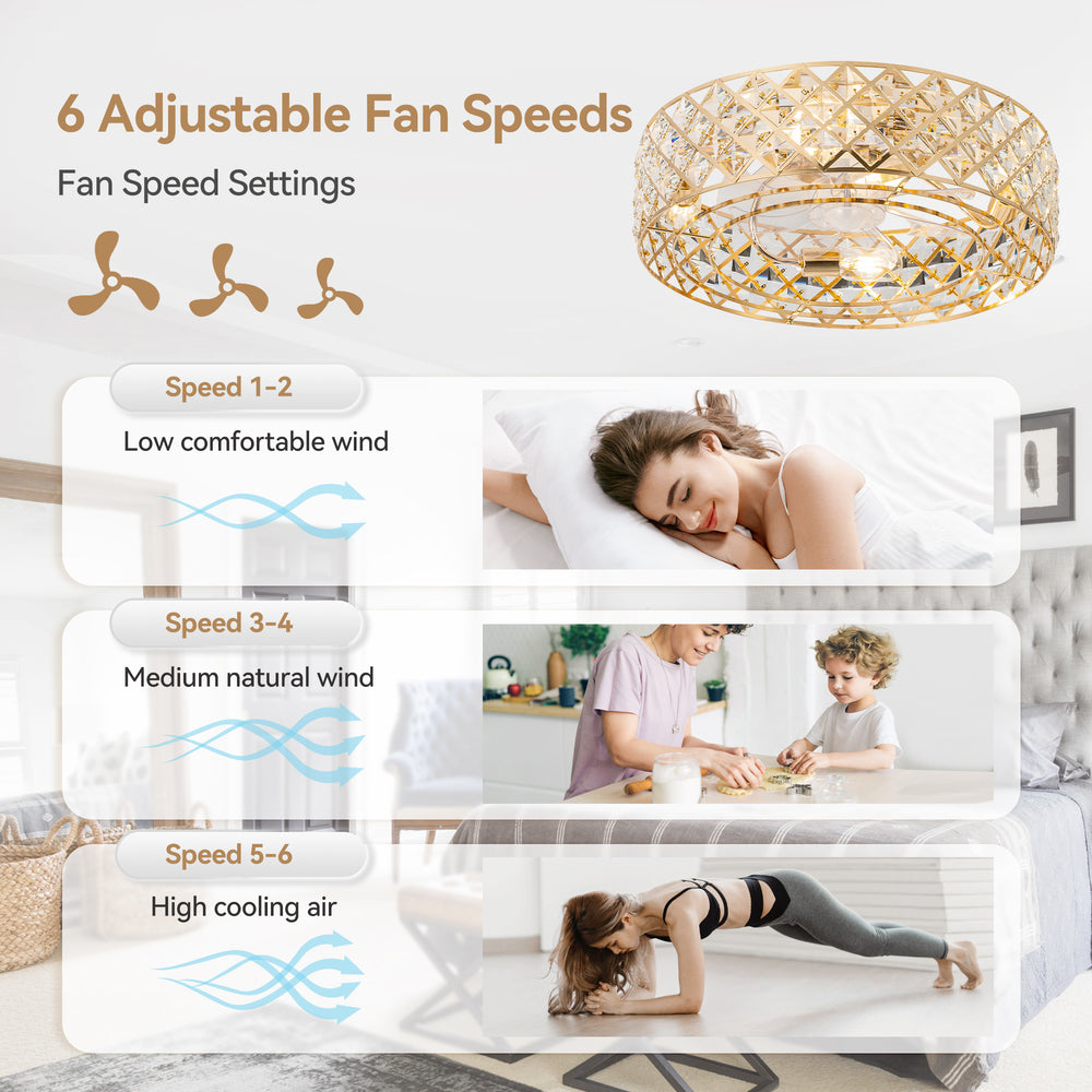 Rosmere 19" Caged Ceiling Fan With Light & Remote