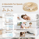 Rosmere 19" Caged Ceiling Fan With Light & Remote