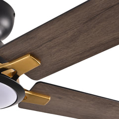 Windward 52 in. LED Indoor Black Ceiling Fans with Light and Remote Control