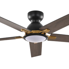 Windward 52 in. LED Indoor Black Ceiling Fans with Light and Remote Control