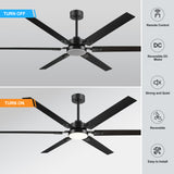 Rylora 72 Inch Ceiling Fan With Light & Remote