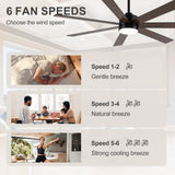 Mavora 62-Inch 7-Blade Ceiling Fan With Light