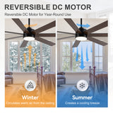 Mavora 62-Inch 7-Blade Ceiling Fan With Light