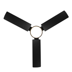 36-inch Black Reversible 3-Blade LED Ceiling Fan with Light Kit and Remote,5" downrod Included