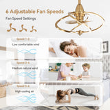 Halcyra 20-Inch Modern 3 Blade Ceiling Fan With Light