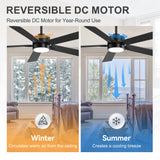 Charlie 52-Inch Smart Ceiling Fan With Light