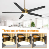 Xavon 65-Inch Ceiling Fan With Light and Remote Control