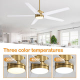 Xavon 65-Inch Ceiling Fan With Light and Remote Control
