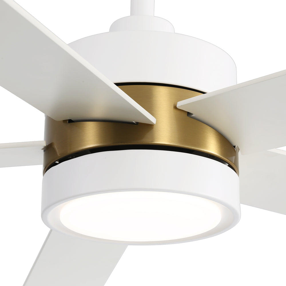 52-Inch 5-Blade LED Ceiling Fan with Light Remote,5" and 10" Downrod Included