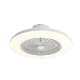 Zelen 22" Smart RGB Ceiling Fan With Light & Remote