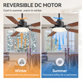 Nerova 48/52" 5-Blade Ceiling Fan With Light & Remote