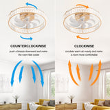 Brynen 20-Inch Gold Caged Ceiling Fan With Light
