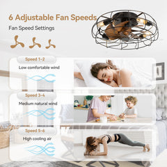 ALKAFY 19 Inch Black Caged Ceiling Fan with Remote, Reversible DC Motor, 6 Speeds, for Bedroom Living Room Kitchen Dining Room