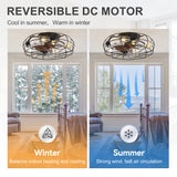 Alvoria 19-Inch Low Profile Black Ceiling Fan With Light & Remote