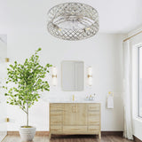 Rosmere 19" Caged Ceiling Fan With Light & Remote
