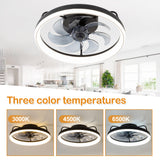 Emara 19-Inch Low Profile Caged Ceiling Fan With Light