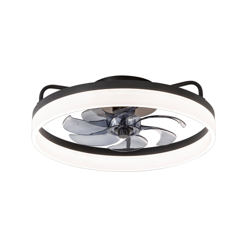 Ferrara 20" Enclosed Ceiling Fan With Light & Remote