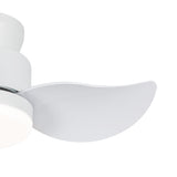 Galon 22-Inch Low Profile Small Ceiling Fan With Light & Remote
