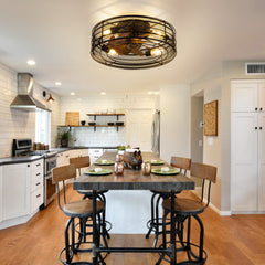 19 Inch Black Low Profile Caged Ceiling Fan with Remote and Light(7-Blade)