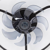 Liron 20-Inch Black Enclosed Ceiling Fan With LED Light