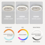 Marelle 19" Smart RGB Flush Mount Ceiling Fan With Dimmable Light
