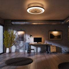 19-in Modern Smart RGB Flush Mount Ceiling Fan with Dimmable Light(5-Blade)