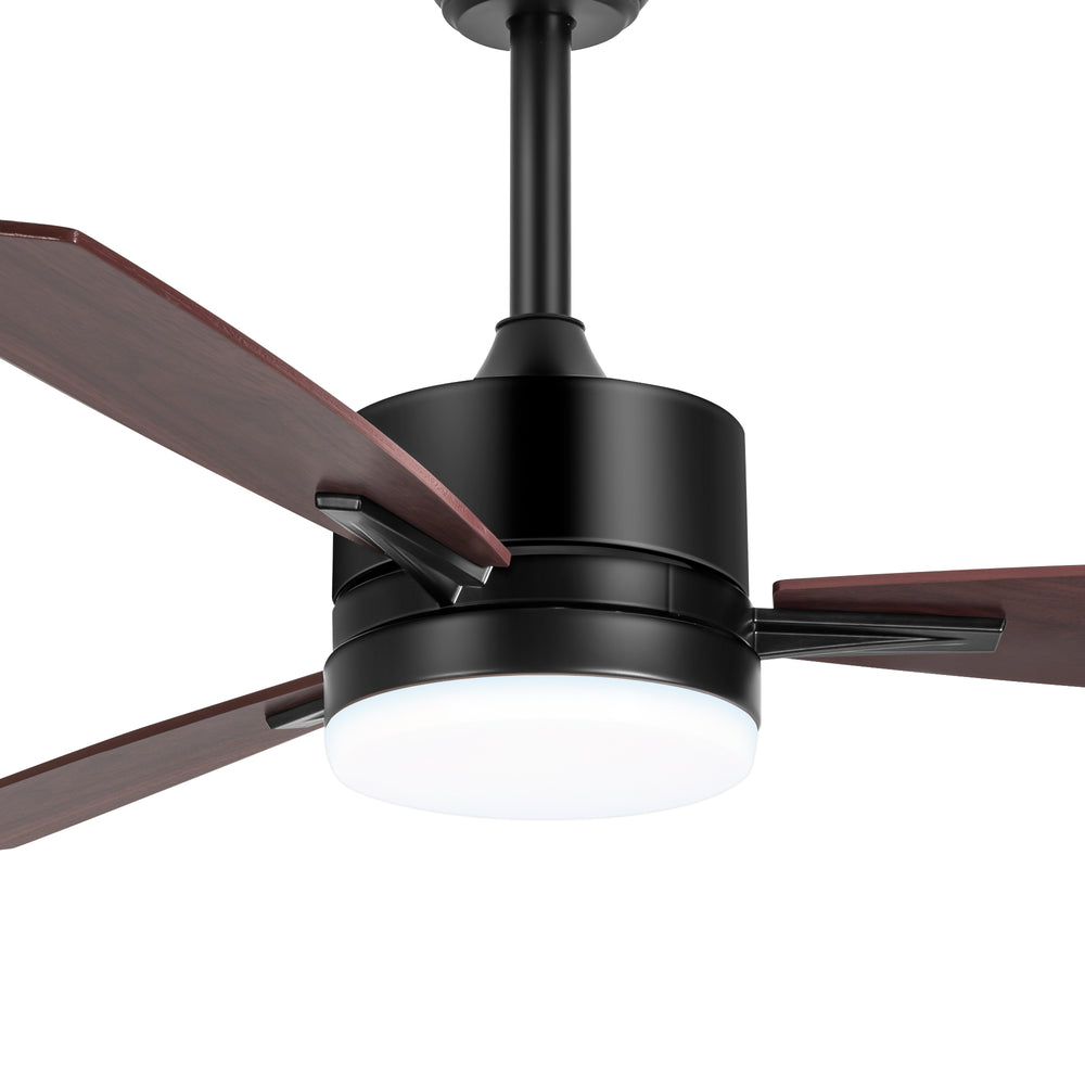 Quenora 42-Inch 3-Blade Ceiling Fan With Light & Remote