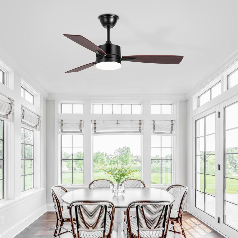 Quenora 42-Inch 3-Blade Ceiling Fan With Light & Remote