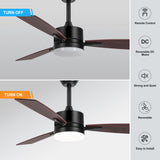 Quenora 42-Inch 3-Blade Ceiling Fan With Light & Remote