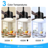 Quenora 42-Inch 3-Blade Ceiling Fan With Light & Remote