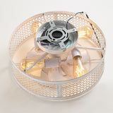 12.5 Inch Flush Mount Caged Ceiling Fan with Light and Remote, DC Motor, 6-Speed, Timer, Modern Low Profile Enclosed Ceiling Fan for Bedroom, Bulbs Not Included