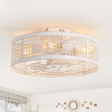 12.5 Inch Flush Mount Caged Ceiling Fan with Light and Remote, DC Motor, 6-Speed, Timer, Modern Low Profile Enclosed Ceiling Fan for Bedroom, Bulbs Not Included