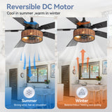 Briaron 48-Inch 5-Blade Ceiling Fan with Light & Remote