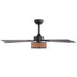 Briaron 48-Inch 5-Blade Ceiling Fan with Light & Remote