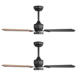 Caselle 42" 3-Blade Ceiling Fan With LED Light & Remote