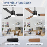 Caselle 42" 3-Blade Ceiling Fan With LED Light & Remote