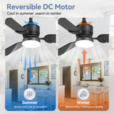 Caselle 42" 3-Blade Ceiling Fan With LED Light & Remote