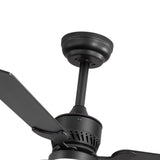 Caselle 42" 3-Blade Ceiling Fan With LED Light & Remote