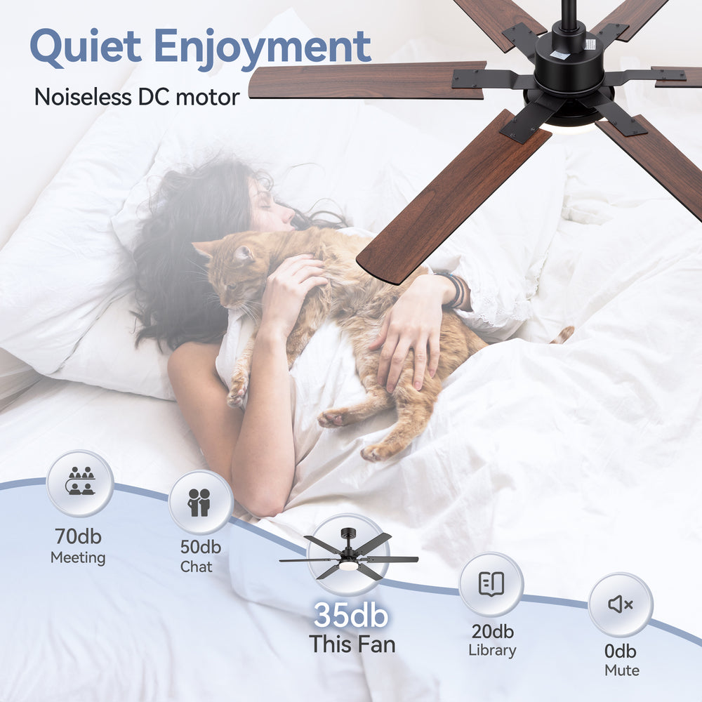 Drayis 46-Inch 6-Blade Ceiling Fan With Light, 2-Pack