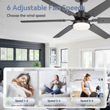 Drayis 46-Inch 6-Blade Ceiling Fan With Light, 2-Pack