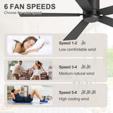 Liora 2-Pack 42" Flush Mount Ceiling Fans Without Lights