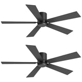 Liora 2-Pack 42" Flush Mount Ceiling Fans Without Lights
