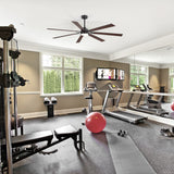 Fenora 72 Inch Indoor Ceiling Fan With Light and Remote