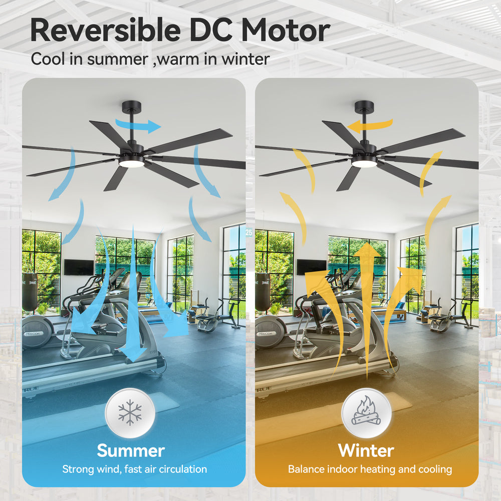 Fenora 72 Inch Indoor Ceiling Fan With Light and Remote
