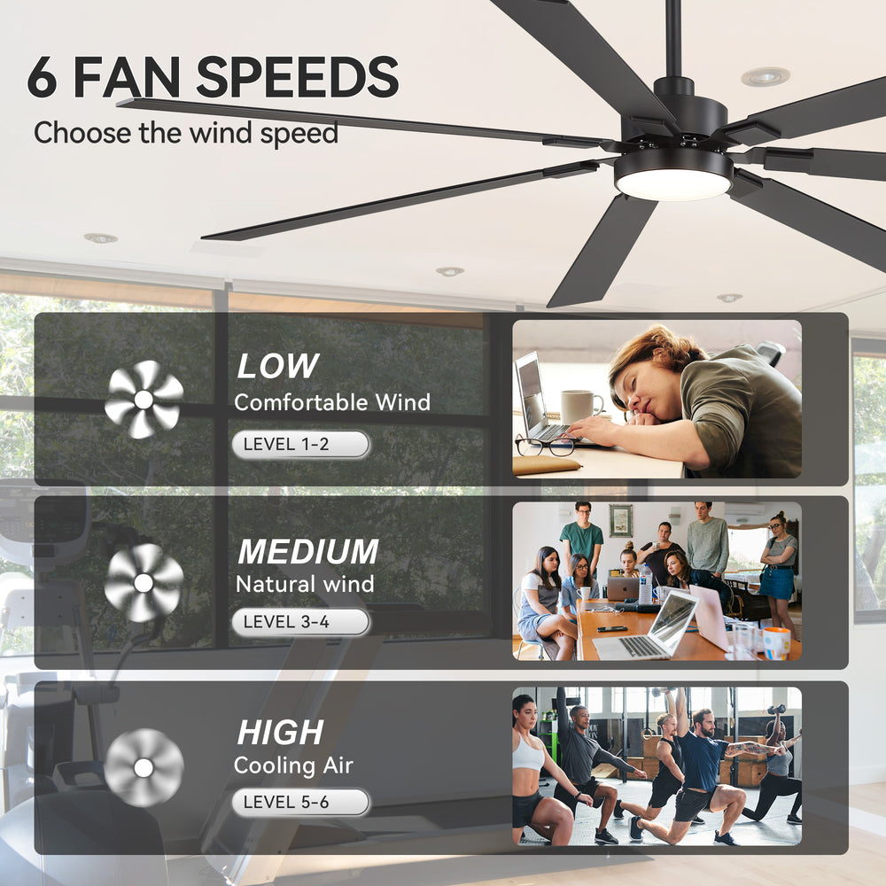 Fenora 72 Inch Indoor Ceiling Fan With Light and Remote