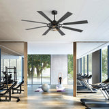 Galara 65 Inch Caged Ceiling Fan With Light & Remote