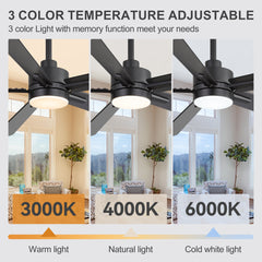 52-inch Matte Black Ceiling Fan with Light, 5 Plywood Blades, 18W LED 3-Color Temp & Memory, Quiet DC Motor, 6 Speeds, Reversible, Remote Control with Timer, Includes 5" & 10" Downrods, Ideal for Bedroom, Living Room, Dining Area