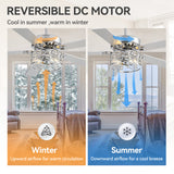 Cavora 52-Inch Chrome Crystal Ceiling Fan With Light
